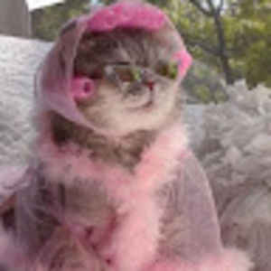 Meet your Posher, Kiki